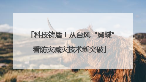 科技铸盾！从台风“蝴蝶” 看防灾减灾技术新突破