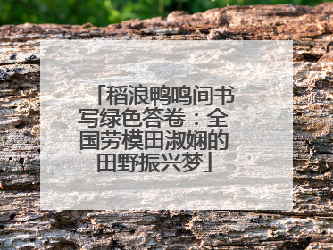 稻浪鸭鸣间书写绿色答卷：全国劳模田淑娴的田野振兴梦