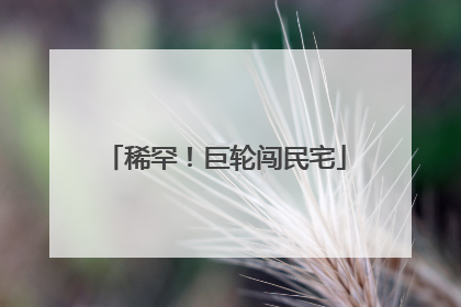 稀罕！巨轮闯民宅