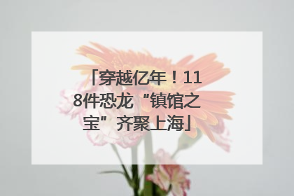 穿越亿年！118件恐龙“镇馆之宝”齐聚上海