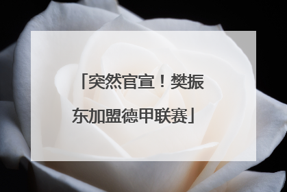 突然官宣！樊振东加盟德甲联赛