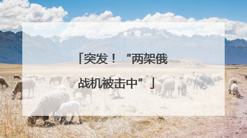 突发！“两架俄战机被击中”