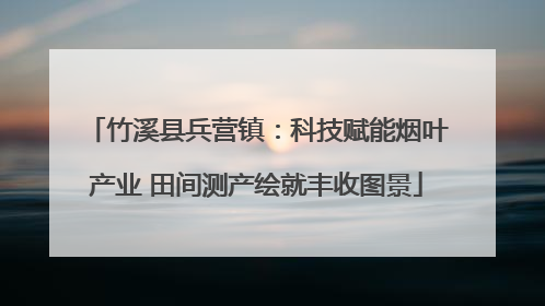 竹溪县兵营镇：科技赋能烟叶产业 田间测产绘就丰收图景