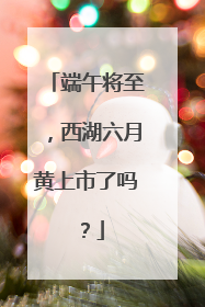 端午将至，西湖六月黄上市了吗？