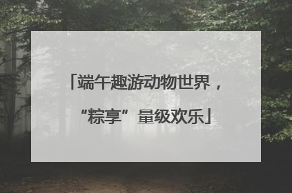 端午趣游动物世界，“粽享”量级欢乐