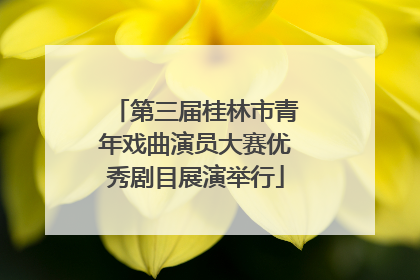 第三届桂林市青年戏曲演员大赛优秀剧目展演举行