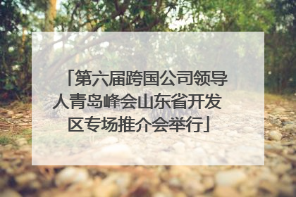 第六届跨国公司领导人青岛峰会山东省开发区专场推介会举行