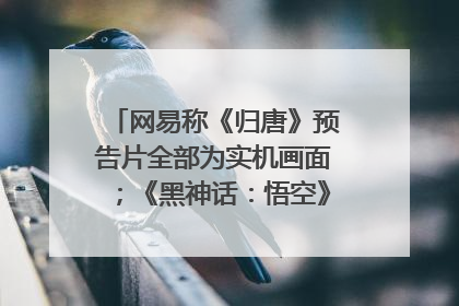 网易称《归唐》预告片全部为实机画面；《黑神话：悟空》公布Xbox版预购视频｜游戏早参