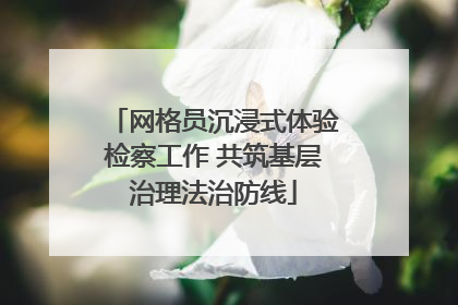 网格员沉浸式体验检察工作 共筑基层治理法治防线