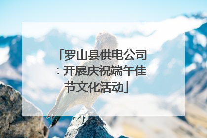 罗山县供电公司：开展庆祝端午佳节文化活动