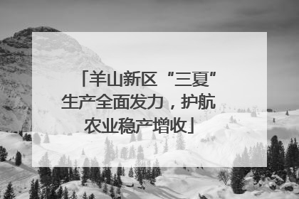 羊山新区“三夏”生产全面发力，护航农业稳产增收