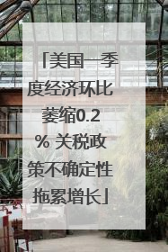 美国一季度经济环比萎缩0.2% 关税政策不确定性拖累增长