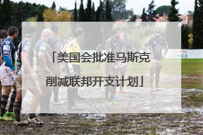 美国会批准马斯克削减联邦开支计划