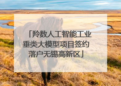 羚数人工智能工业垂类大模型项目签约落户无锡高新区