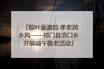 粽叶裹温情 孝老润乡风——祁门县溶口乡开展端午敬老活动