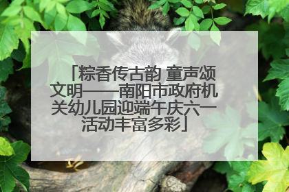 粽香传古韵 童声颂文明——南阳市政府机关幼儿园迎端午庆六一活动丰富多彩
