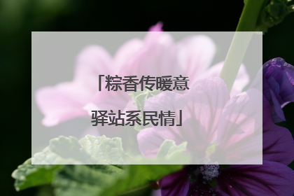 粽香传暖意 驿站系民情