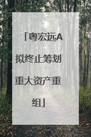 粤宏远A拟终止筹划重大资产重组