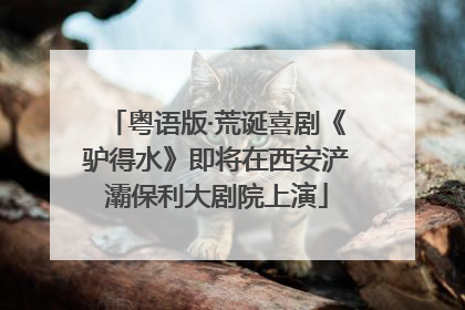 粤语版·荒诞喜剧《驴得水》即将在西安浐灞保利大剧院上演