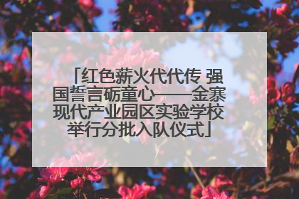 红色薪火代代传 强国誓言砺童心——金寨现代产业园区实验学校举行分批入队仪式