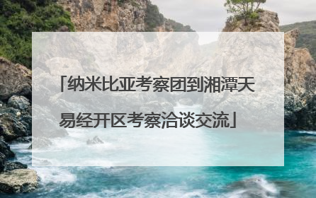 纳米比亚考察团到湘潭天易经开区考察洽谈交流