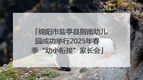 绵阳市盐亭县指南幼儿园成功举行2025年春季“幼小衔接”家长会