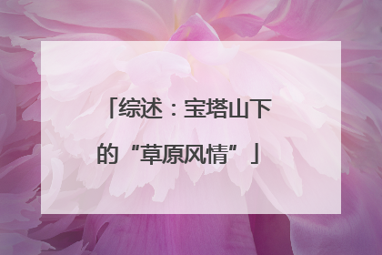 综述：宝塔山下的“草原风情”