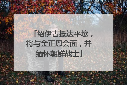 绍伊古抵达平壤，将与金正恩会面，并缅怀朝鲜战士