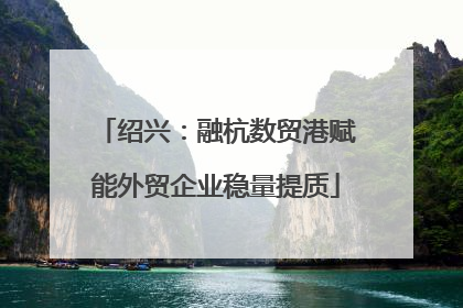 绍兴：融杭数贸港赋能外贸企业稳量提质