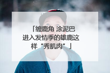 缠鹿角 涂泥巴 进入发情季的雄鹿这样“秀肌肉”