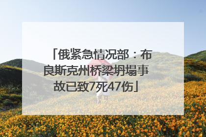 俄紧急情况部：布良斯克州桥梁坍塌事故已致7死47伤