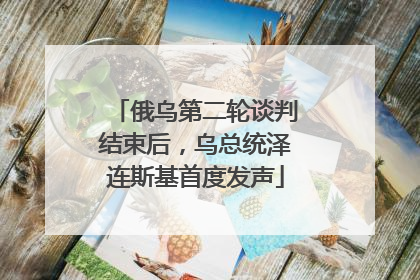 俄乌第二轮谈判结束后，乌总统泽连斯基首度发声