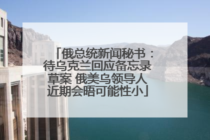 俄总统新闻秘书：待乌克兰回应备忘录草案 俄美乌领导人近期会晤可能性小