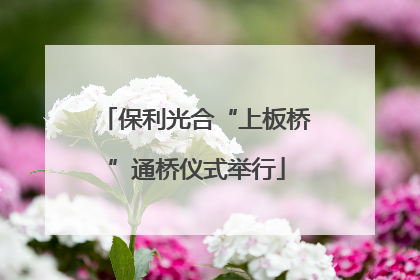 保利光合“上板桥”通桥仪式举行