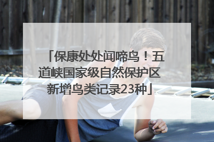 保康处处闻啼鸟！五道峡国家级自然保护区新增鸟类记录23种