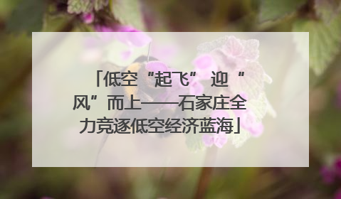 低空“起飞” 迎“风”而上——石家庄全力竞逐低空经济蓝海