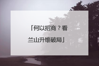 何以招商？看兰山升维破局