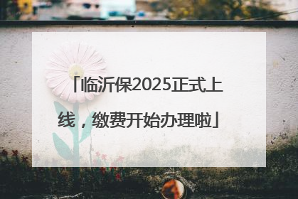 临沂保2025正式上线，缴费开始办理啦