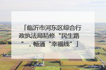 临沂市河东区综合行政执法局精修“民生路”，畅通“幸福线”