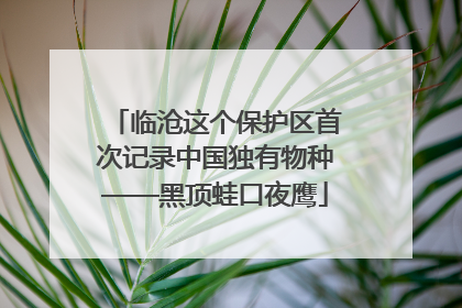 临沧这个保护区首次记录中国独有物种——黑顶蛙口夜鹰