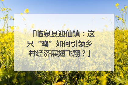 临泉县迎仙镇：这只“鸡”如何引领乡村经济展翅飞翔？