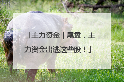 主力资金｜尾盘，主力资金出逃这些股！