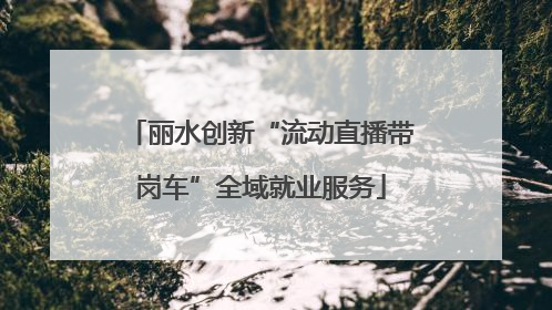 丽水创新“流动直播带岗车”全域就业服务
