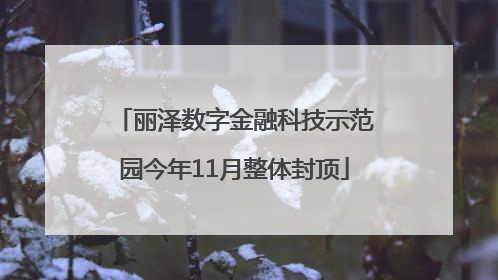 丽泽数字金融科技示范园今年11月整体封顶