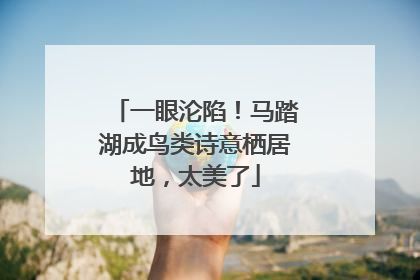 一眼沦陷！马踏湖成鸟类诗意栖居地，太美了