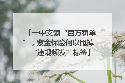 一中支领“百万罚单”，紫金保险何以甩掉“违规频发”标签