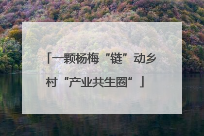 一颗杨梅“链”动乡村“产业共生圈”