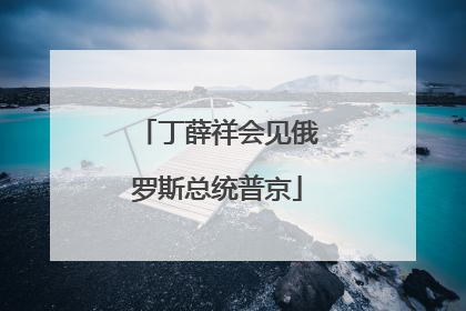 丁薛祥会见俄罗斯总统普京