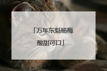 万年东魁杨梅 酸甜可口