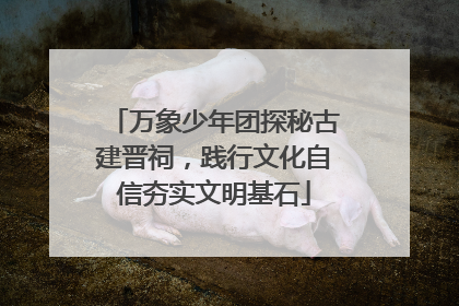 万象少年团探秘古建晋祠，践行文化自信夯实文明基石